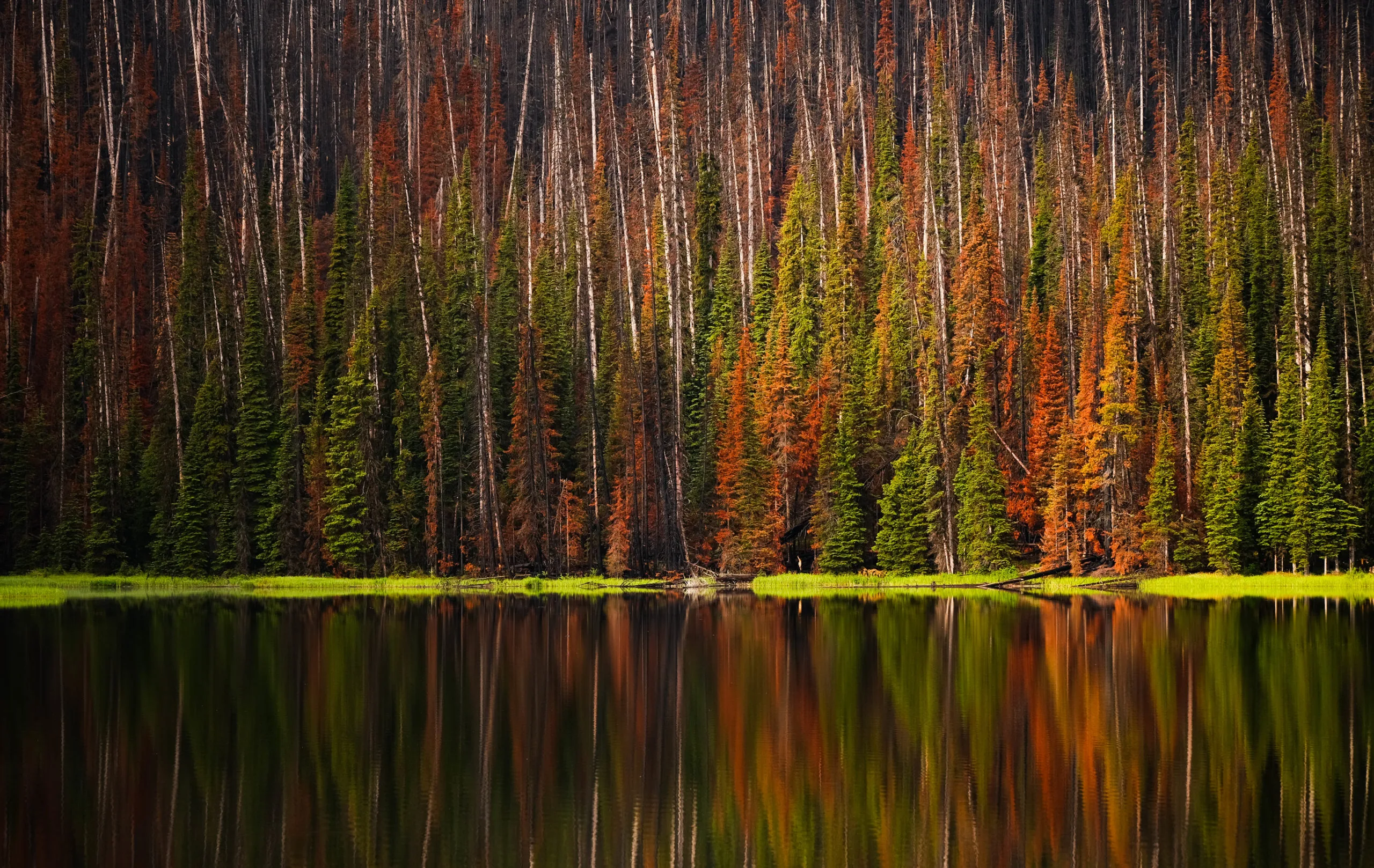 Exploring Manning Park Backcountry